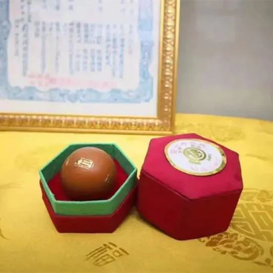 Bezoar bolus Bezoar bolus