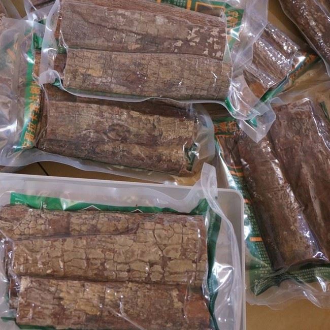 Cabinda Tree Bark Extract