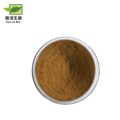 Cordyceps Sinensis -uute